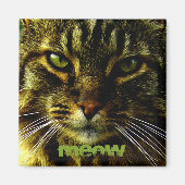 Kattenogen hypnotiserende foto magneet (Voorkant)