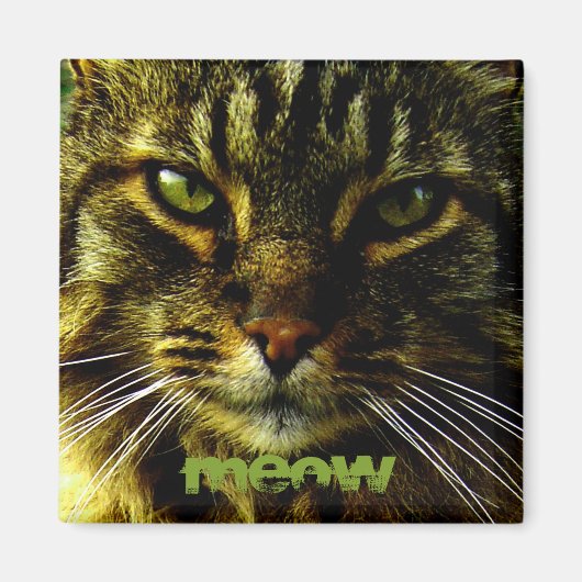 Kattenogen hypnotiserende foto magneet (Voorkant)