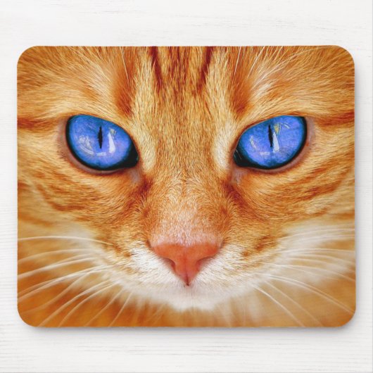 Kattenogen Kattenogen Gezicht Tijger Makreel Rode Muismat (Voorkant)