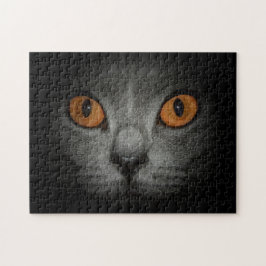 Kattenogen Legpuzzel