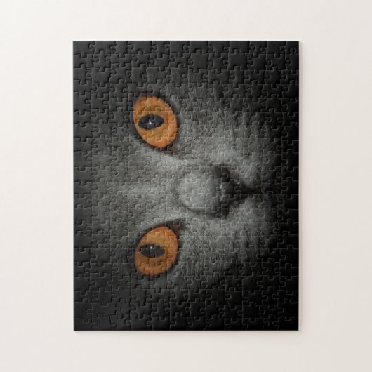 Kattenogen Legpuzzel (Verticaal)