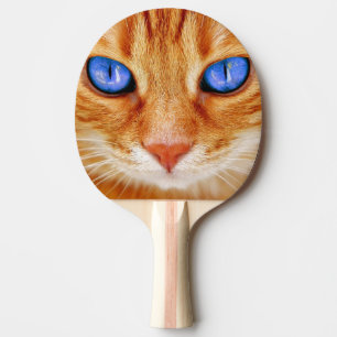 Kattenogen Mijdt Tijger Makreel rode Kat Tafeltennisbatje