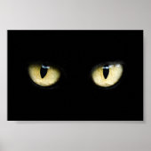 Kattenogen Poster (Voorkant)