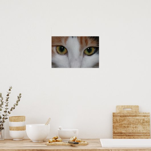Kattenogen Poster (Keuken)