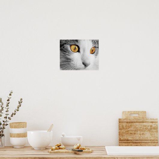 Kattenogen Poster (Keuken)