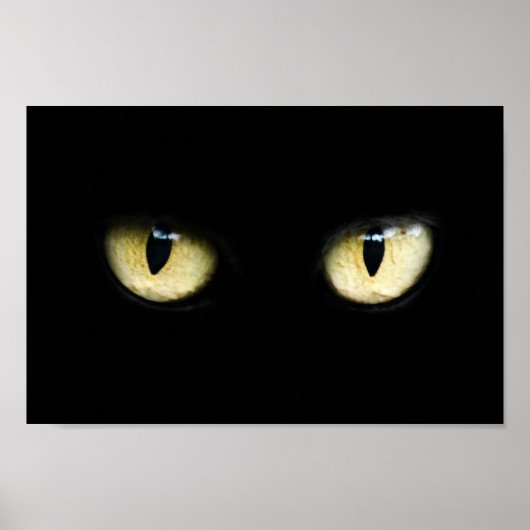 Kattenogen Poster (Voorkant)