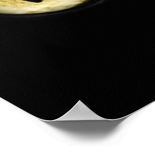 Kattenogen Poster (Hoek)