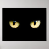 Kattenogen Poster (Voorkant)