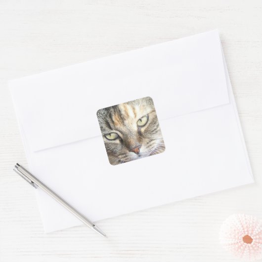 Kattenogen sticker (Envelop)