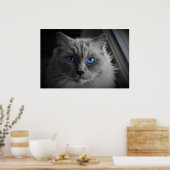 Kattenogen, Wanddecoratie Poster (Keuken)