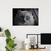Kattenogen, Wanddecoratie Poster (Thuiskantoor)