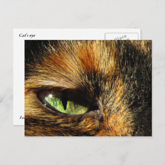 Kattenoog Briefkaart (Voorkant / Achterkant)