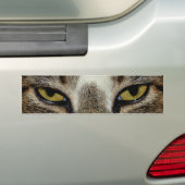 Kattenoog Bumpersticker (Op auto)