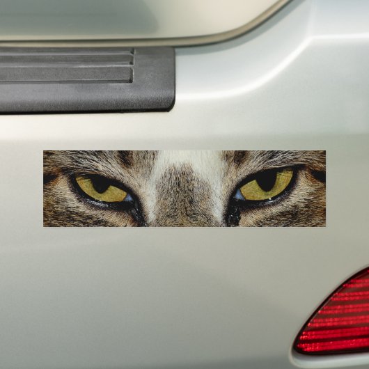Kattenoog Bumpersticker (Op auto)
