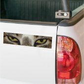 Kattenoog Bumpersticker (Op Truck)