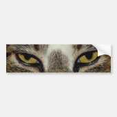 Kattenoog Bumpersticker (Voorkant)