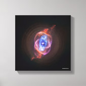 Kattenoog Canvas Afdruk (Voorkant)