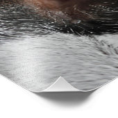 Kattenoog Foto Afdruk (Hoek)