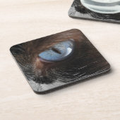 Kattenoog.JPG Drankjes Onderzetter (Linkerzijde)