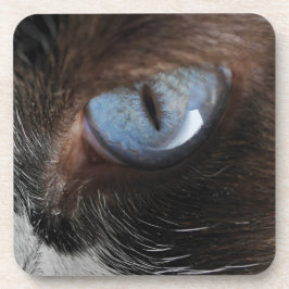 Kattenoog.JPG Drankjes Onderzetter