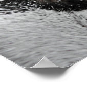 Kattenoog Poster (Hoek)