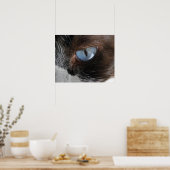 Kattenoog Poster (Keuken)