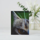 Kattenoogfotoanimatie Briefkaart (Staand voorkant)