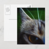 Kattenoogfotoanimatie Briefkaart (Voorkant / Achterkant)