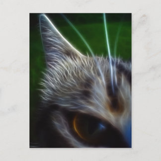 Kattenoogfotoanimatie Briefkaart