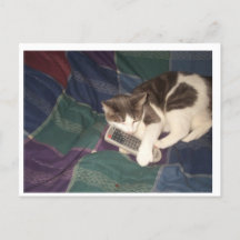 Kattenopvangafstandsbediening