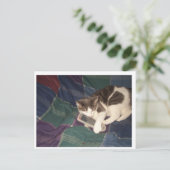 Kattenopvangafstandsbediening Briefkaart (Staand voorkant)