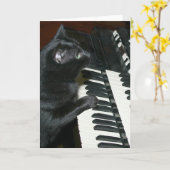 Kattenorgaanoverweging Kaart (Gele Bloem)