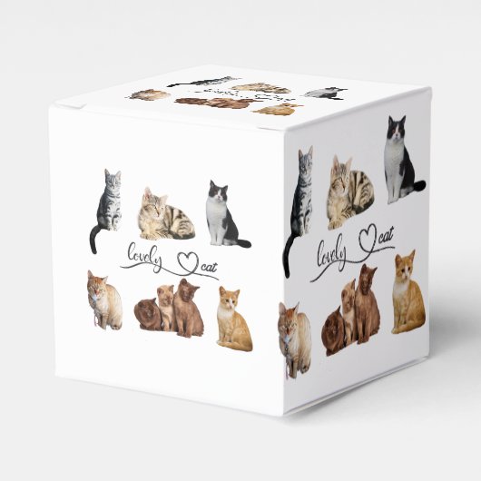 kattenpakket, pakket van Funny cats Bedankdoosjes (Voorkant Zijde)
