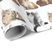 kattenpakket, pakket van Funny cats Cadeaupapier (Rol Hoek)