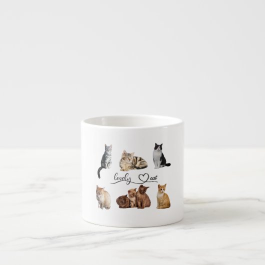 kattenpakket, pakket van Funny cats Espresso Kop (Voorkant)