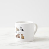 kattenpakket, pakket van Funny cats Espresso Kop (Voorkant rechts)