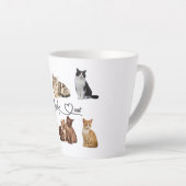kattenpakket, pakket van Funny cats Latte Mok (Rechterhoek)