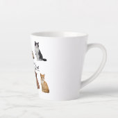 kattenpakket, pakket van Funny cats Latte Mok (Rechts)