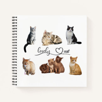 kattenpakket, pakket van Funny cats Notitieboek
