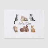 kattenpakket, pakket van Funny cats Tissuepapier (Voorkant)