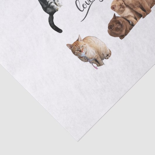 kattenpakket, pakket van Funny cats Tissuepapier (Detail)