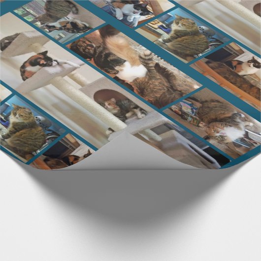 Kattenpapier Cadeaupapier (Hoek)