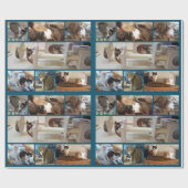 Kattenpapier Cadeaupapier (Vlak)