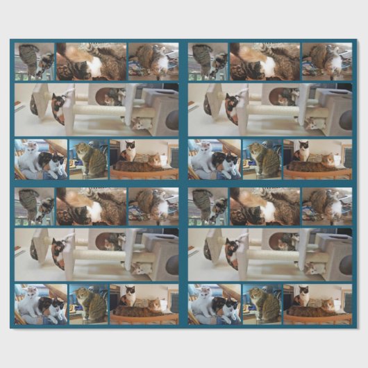 Kattenpapier Cadeaupapier (Vlak)