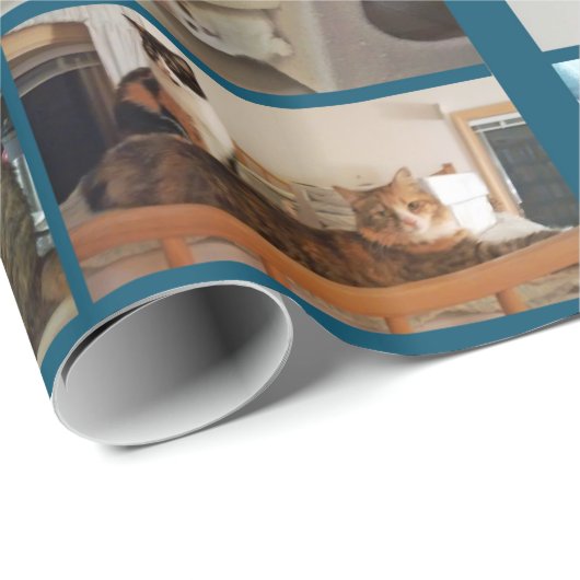 Kattenpapier Cadeaupapier (Rol Hoek)