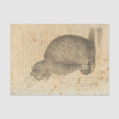  kattenpapier tissuepapier (Voorkant)