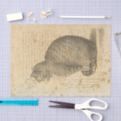  kattenpapier tissuepapier (Craft)