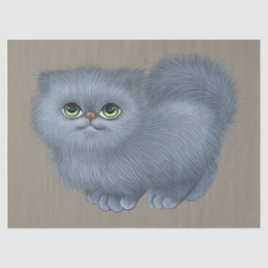 kattenpapier tissuepapier (Voorkant)