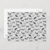  kattenpatroon briefkaart (Voorkant / Achterkant)