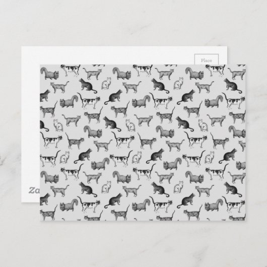  kattenpatroon briefkaart (Voorkant / Achterkant)